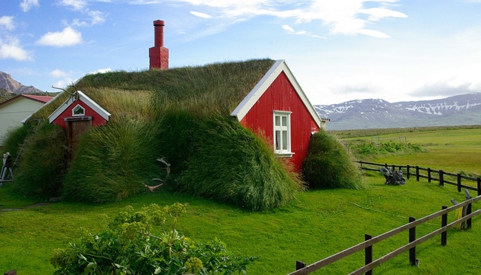 icelandkrov jpg