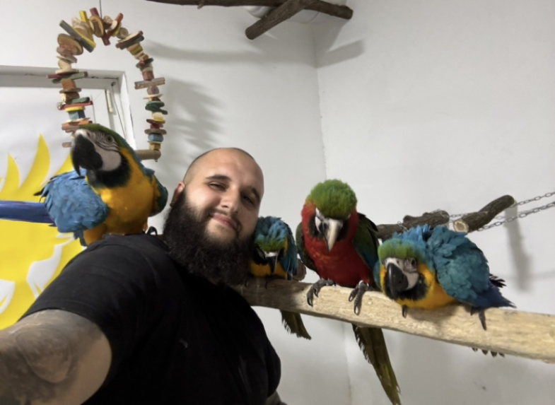 Papagaji koji se vraćaju na zvižduk .